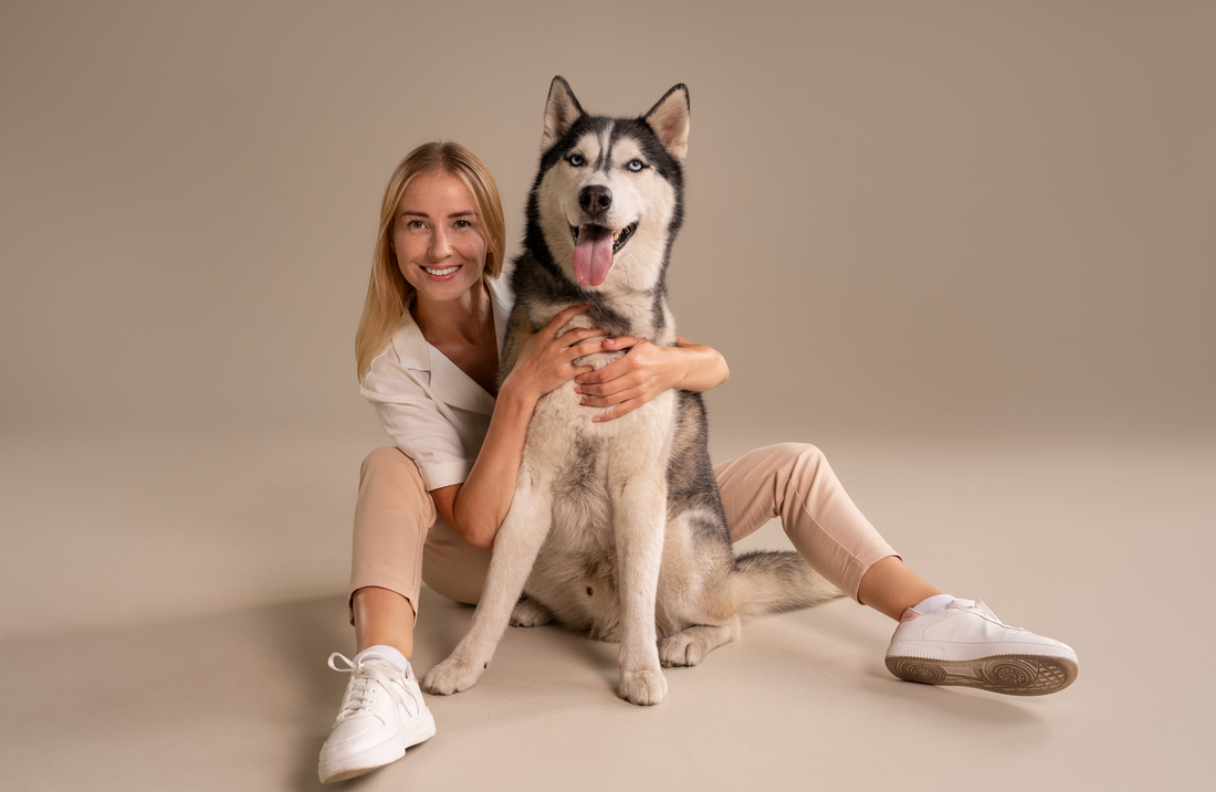 Apprendre à son chien à utiliser des boutons : étapes et conseils