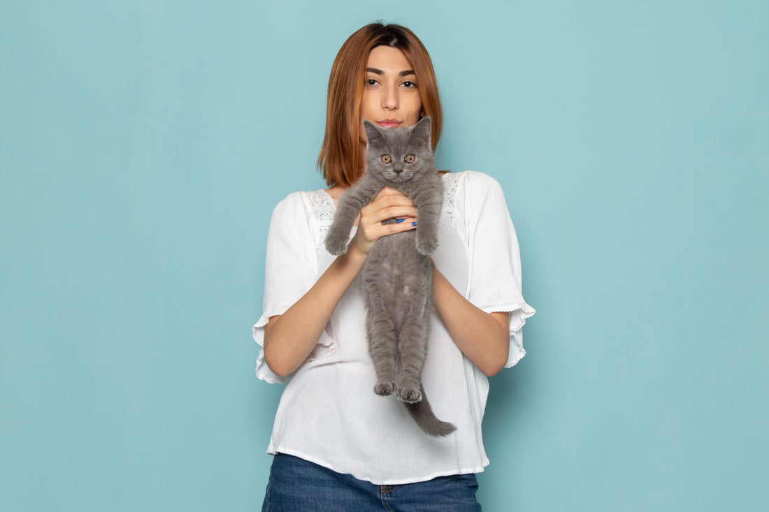 Des boutons de communication pour chats : est-ce possible ?