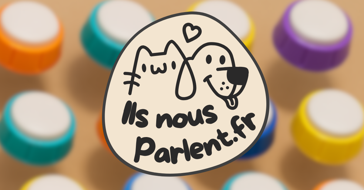 Boutons de communication pour chiens : qu’est-ce que c’est et comment ça marche ?